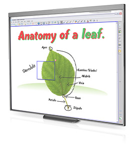 LIM Smart-SmartBoard SB480